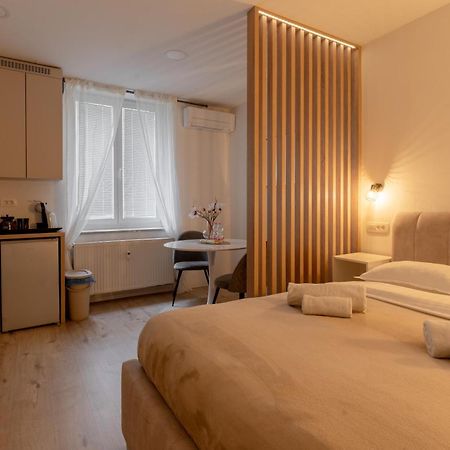 Classy & Cozy Apartment Ljubljana Bagian luar foto